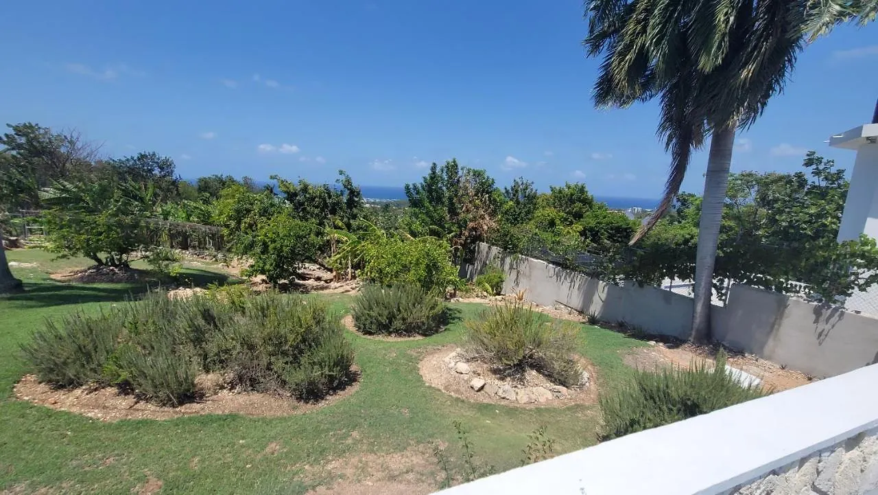 빌라 Ivy'S Luxury Villa, 몬테고 베이 자메이카