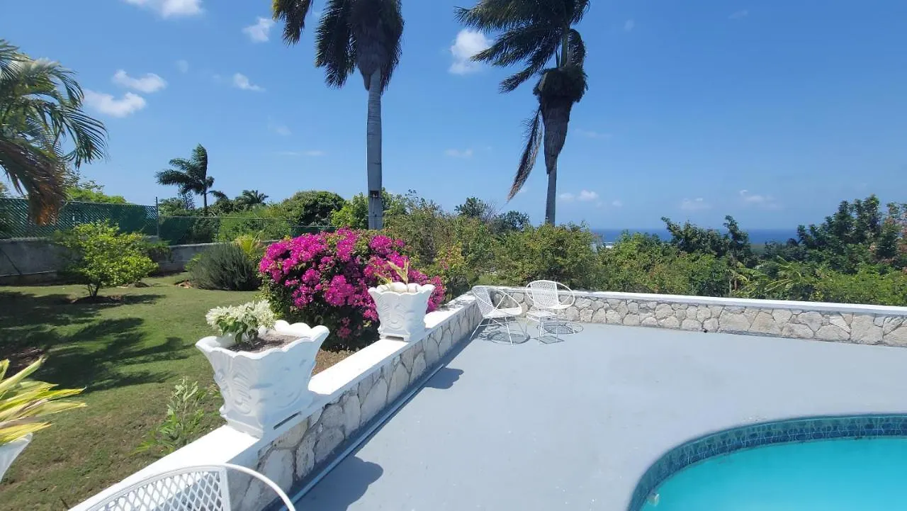 Ivy'S Luxury Villa, Montego Bay Jamaica